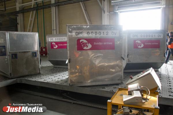 В Кольцово прилетела первая партия гуманитарного груза для борьбы с COVID-19 на 5 млн долларов - Фото 10
