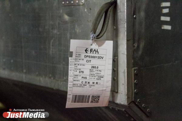 В Кольцово прилетела первая партия гуманитарного груза для борьбы с COVID-19 на 5 млн долларов - Фото 14