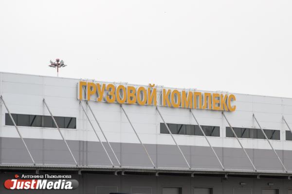 В Кольцово прилетела первая партия гуманитарного груза для борьбы с COVID-19 на 5 млн долларов - Фото 8