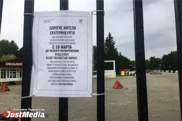 В Екатеринбурге открыли ЦПКиО им. Маяковского и зовут делать красивые фото с яблоней - Фото 2