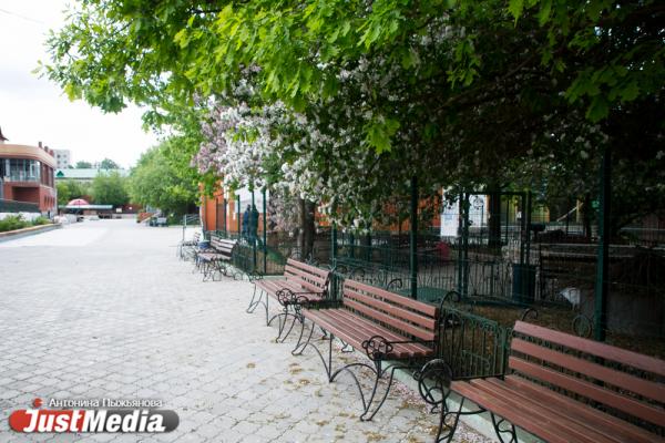 Екатеринбургский зоопарк встречает свое 90-летие без посетителей и с финансовыми проблемами - Фото 17