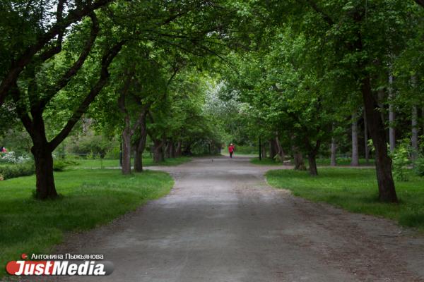 Как живут парки и скверы в Екатеринбурге после открытия - Фото 4