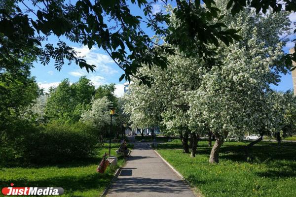Как живут парки и скверы в Екатеринбурге после открытия - Фото 11