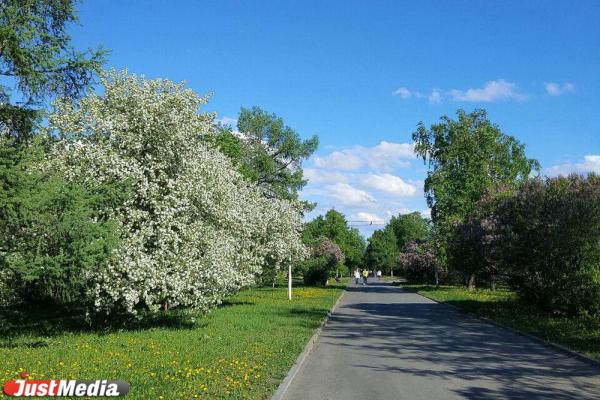 Как живут парки и скверы в Екатеринбурге после открытия - Фото 13