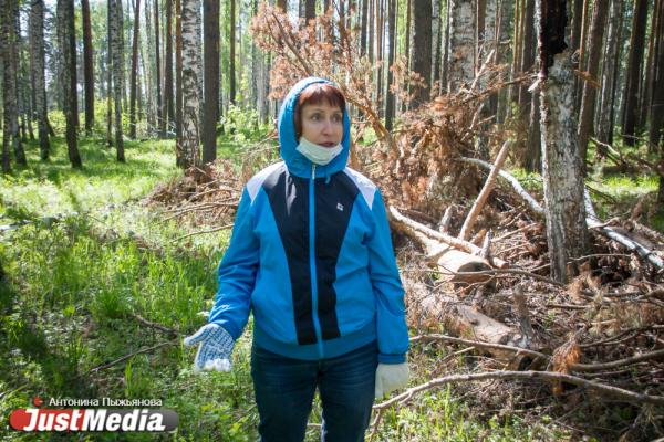 В Екатеринбурге высадили «Лес Победы» на территории, где деревья пострадали от «черных лесорубов» - Фото 2