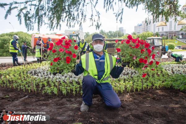 Городские службы начали украшать Екатеринбург цветами - Фото 4