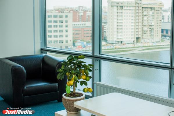 Прочное окно в светлое будущее  - Фото 5