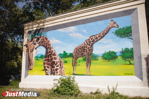 Сталинград, Внутренний мир и Жирафы. Смотрим, какие стрит-арты подарит Екатеринбургу фестиваль уличного искусства «Public art» - Фото 4