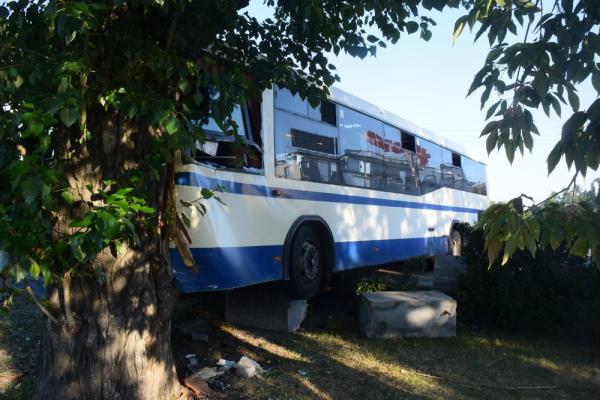 В центре Екатеринбурга автобус влетел в легковушку, а потом в дерево. Пострадали 2 пассажирки - Фото 3