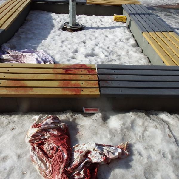 В Екатеринбурге мужчину, который убил «любимую» и напал с ножом на ее сожителя, хотят отправить в психушку. 18+ - Фото 3