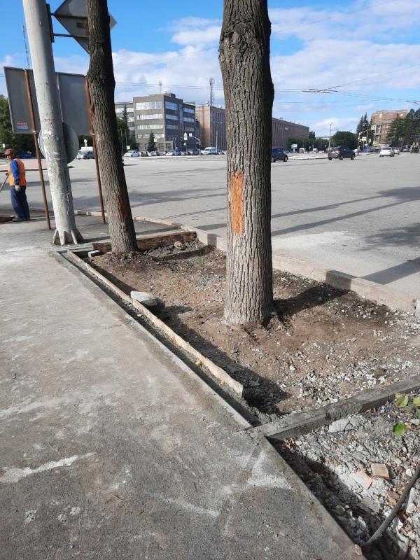Мэрия Екатеринбурга о деревьях на площади Первой Пятилетки: «Весь асфальт уже сняли, деревья не погибнут»  - Фото 2