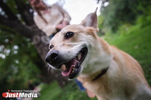 Анастасия Высоцкая, ресторан Lobby: «Сентябрь - это, как известно, пора перемен». В Екатеринбурге +28 градусов - Фото 8