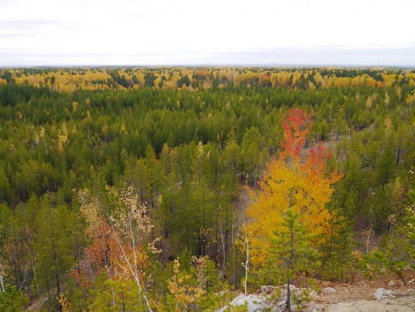 В Липовском геологическом парке обустраивают тропу вокруг карьера протяженностью более четырех километров - Фото 2