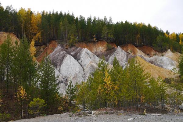 В Липовском геологическом парке обустраивают тропу вокруг карьера протяженностью более четырех километров - Фото 3