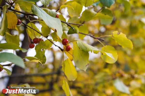 Прогулка с JustMedia.ru. Алексей Бадаев о сквере на драме: «Порой здесь завязываются романтические вещи» - Фото 5