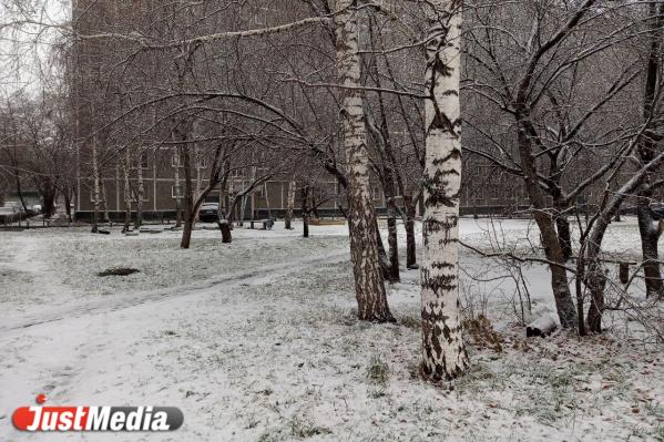 Социальные сети екатеринбуржцев наполнились снежными фотографиями - Фото 2