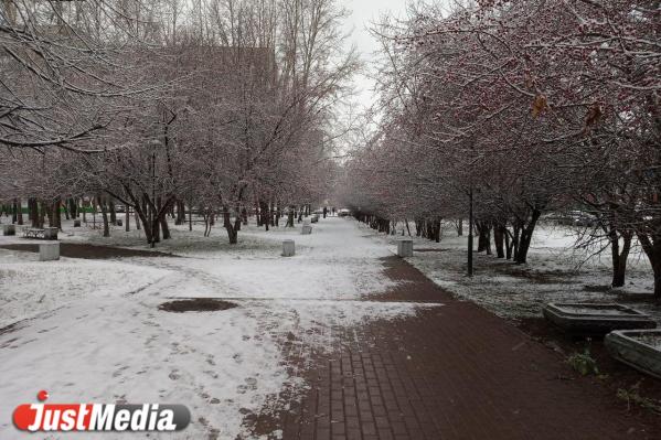 Социальные сети екатеринбуржцев наполнились снежными фотографиями - Фото 3