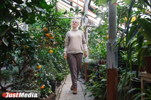 Сакральное дерево из Дендропарка, уральская арабика и сила зеленого. Вице-мэр Екатерина Кузёмка в проекте «Место силы»  - Фото 7