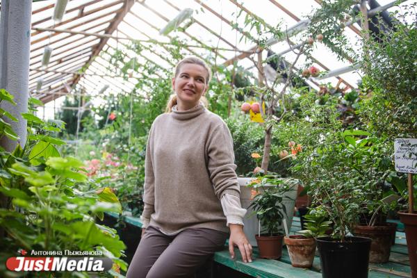 Сакральное дерево из Дендропарка, уральская арабика и сила зеленого. Вице-мэр Екатерина Кузёмка в проекте «Место силы»  - Фото 9
