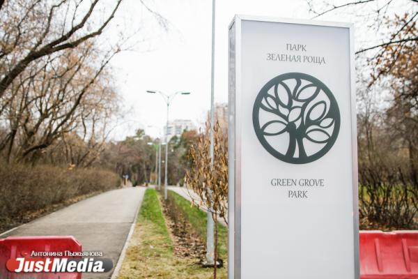 Птичий помет, краденый газон и поваленный фонарь. Какие замечания экологи вынесли подрядчику в Зеленой роще - Фото 3