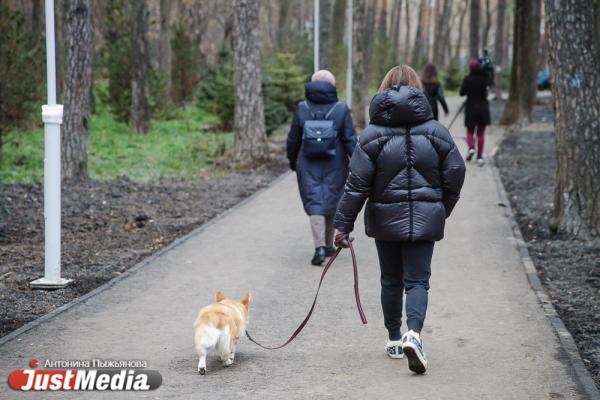 Птичий помет, краденый газон и поваленный фонарь. Какие замечания экологи вынесли подрядчику в Зеленой роще - Фото 7