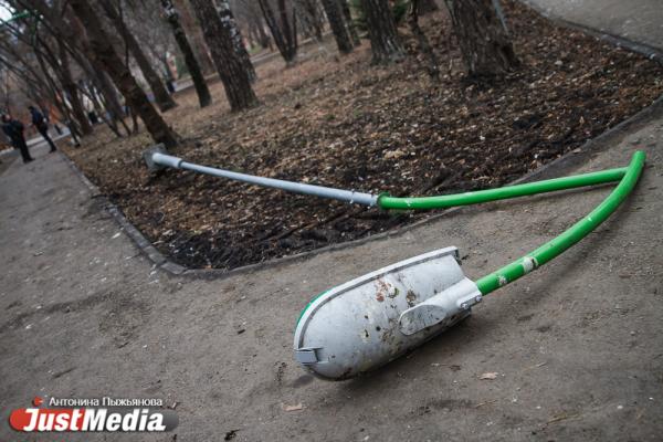 Птичий помет, краденый газон и поваленный фонарь. Какие замечания экологи вынесли подрядчику в Зеленой роще - Фото 8