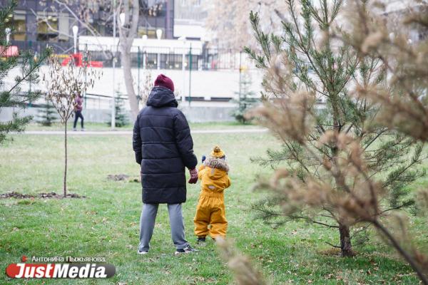 Птичий помет, краденый газон и поваленный фонарь. Какие замечания экологи вынесли подрядчику в Зеленой роще - Фото 9