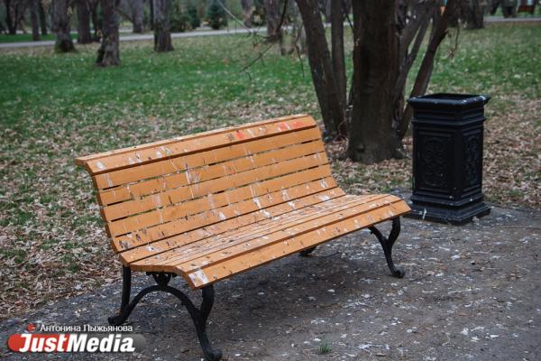 Птичий помет, краденый газон и поваленный фонарь. Какие замечания экологи вынесли подрядчику в Зеленой роще - Фото 4