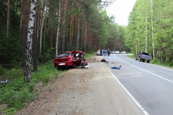 В Кировграде направлено в суд дело виновника смертельных покатушек после свадьбы - Фото 3