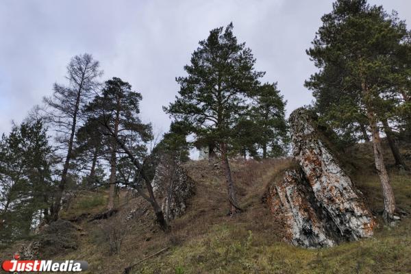Собачьи ребра, уникальная церковь и уральский Голливуд. Едем смотреть достопримечательности Чусовой недалеко от Екатеринбурга. JUSTTRIP - Фото 2