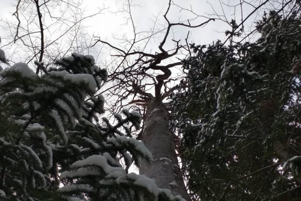 Заброшенные рудники, живописные скалы и многовековые легенды. Веселые выходные на Веселых горах. JUSTTRIP - Фото 8