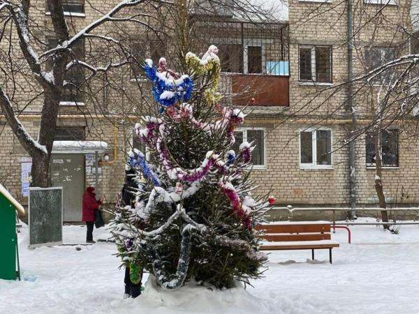 В Орджоникидзевском районе появились елки в 35 дворах - Фото 2