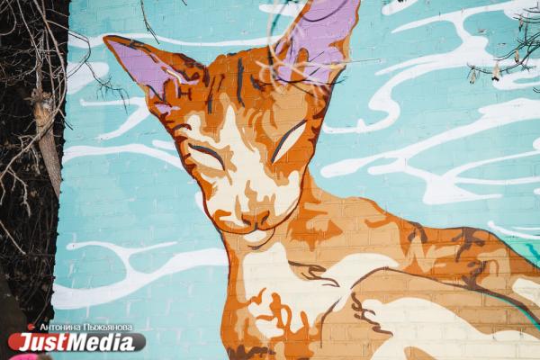 «Люди вечно чем-то недовольны». Уличный художник Рома Инк - о работе ночью, котиках и православных верующих. JUSTNIGHT - Фото 8