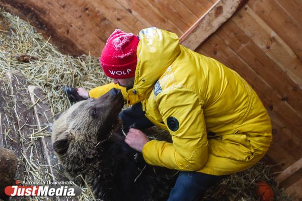 Лучшая в мире шерсть и терапия питомцами! На Урале запустят эко-ферму с уникальными животными из Европы - Фото 4