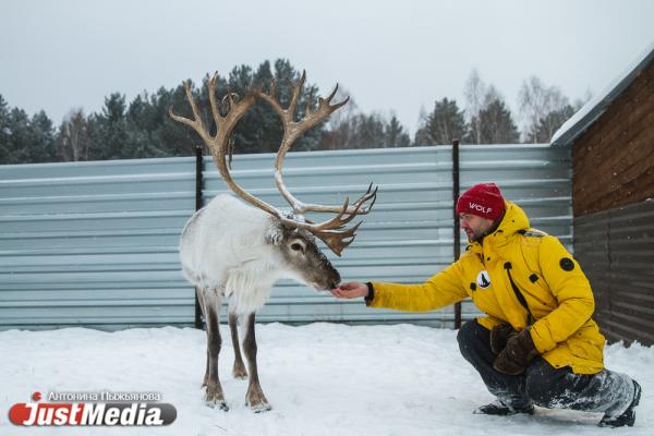 Лучшая в мире шерсть и терапия питомцами! На Урале запустят эко-ферму с уникальными животными из Европы - Фото 9