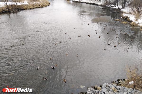 ЖК «Просторы»: когда «Атом» посадил «карандашики» и забил на жителей - Фото 16