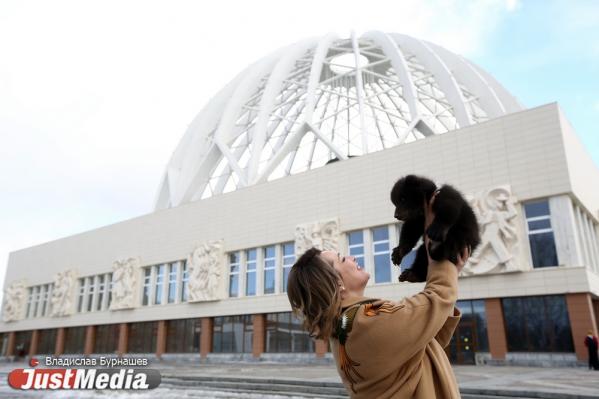 Директор Екатеринбургского цирка Тамара Бортникова: «А вы сегодня выгуляли ваших мишек, зайчиков, девочек и мальчиков?» В Екатеринбурге +14 градусов - Фото 4