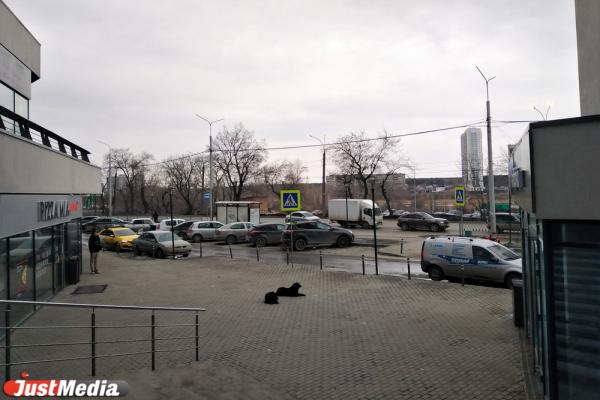 «Каменный ручей»: как построить «комфорт» на краю Уктуса и забыть про шумоизоляцию с водоснабжением - Фото 2