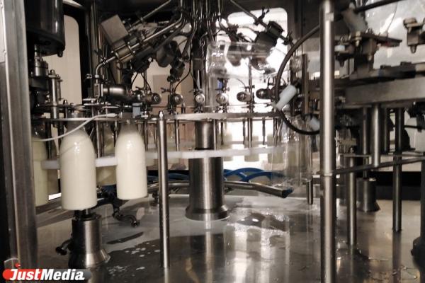 Свежее молоко и йогурт из будущего. Евгению Куйвашеву показали новые цеха молочного завода в Талице - Фото 3