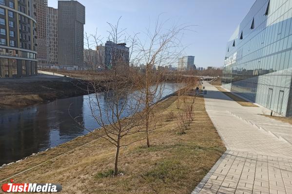 Окна, которые нельзя открывать, и магазины, до которых еще надо дойти. Чем жизнь в Clever Park отличается от жизни на картинках - Фото 15