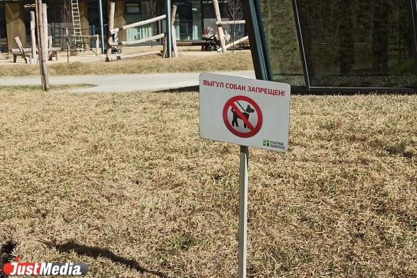 Окна, которые нельзя открывать, и магазины, до которых еще надо дойти. Чем жизнь в Clever Park отличается от жизни на картинках - Фото 16