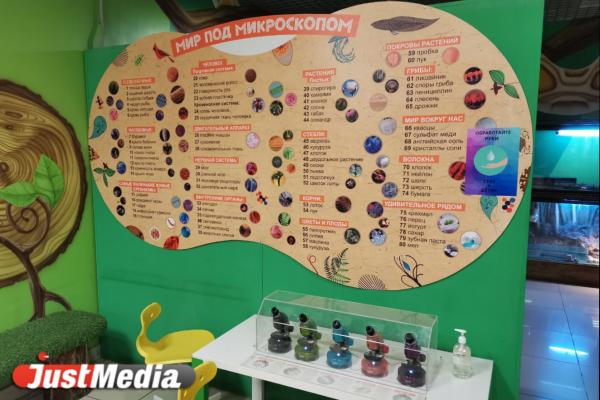 Вся правда о жизни животных в контактных зоопарках Екатеринбурга. Агрессивные гуси, затисканный енот и козы без воды - Фото 13