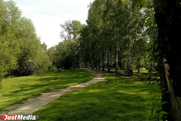 Парк 50 лет ВЛКСМ будет обустроен по желанию граждан - Фото 3