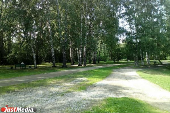 Парк 50 лет ВЛКСМ будет обустроен по желанию граждан - Фото 4