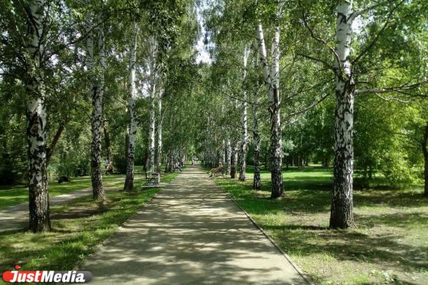 Парк 50 лет ВЛКСМ будет обустроен по желанию граждан - Фото 6