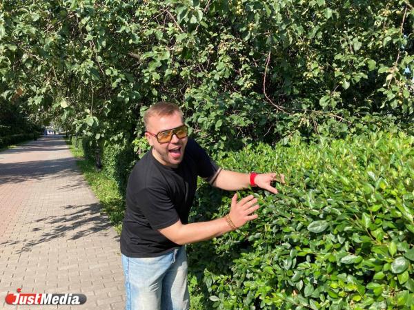 Дмитрий Александров, стендап-комик: «Как говорил Олег Митяев, лето - это маленькая жизнь!». В Екатеринбурге +19 градусов - Фото 2