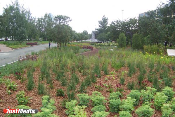 У Ельцин Центра состоялось торжественное открытие «Сада трав» - Фото 2