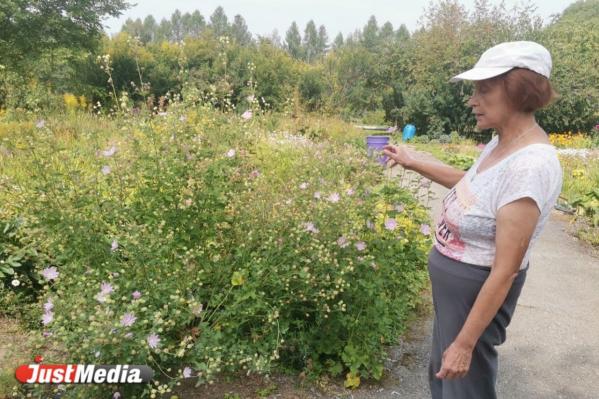 В УрФУ выращивают уникальные растения, способные остановить глобальное потепление - Фото 2