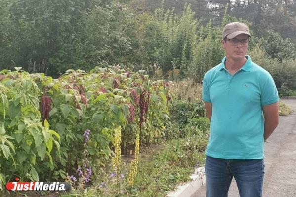 В УрФУ выращивают уникальные растения, способные остановить глобальное потепление - Фото 3