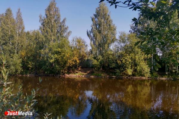 Объем финансовой поддержки коллективных садов Екатеринбурга увеличат до 12 миллионов рублей - Фото 3